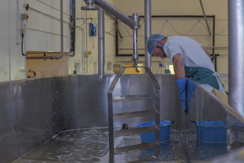 limpieza de fabricas alimentarias