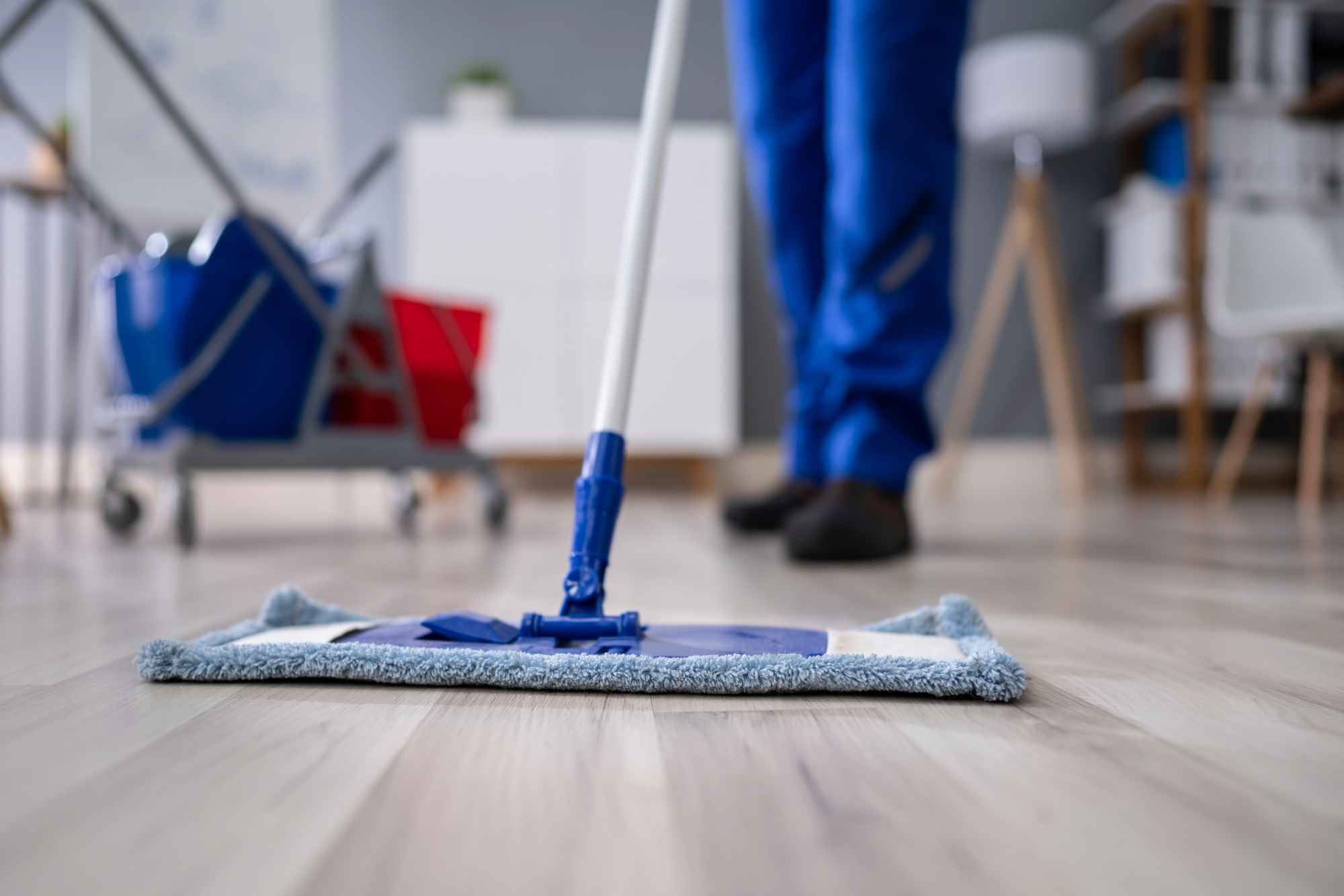 limpieza profesional