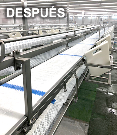 limpieza fábrica de alimentos, limpieza industria alimentaria Barcelona